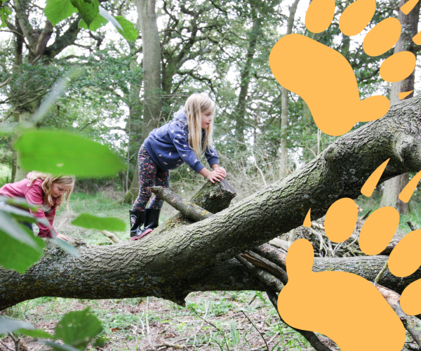 Two young girls climbing on a tree. Two orange badger paw prints in the corner