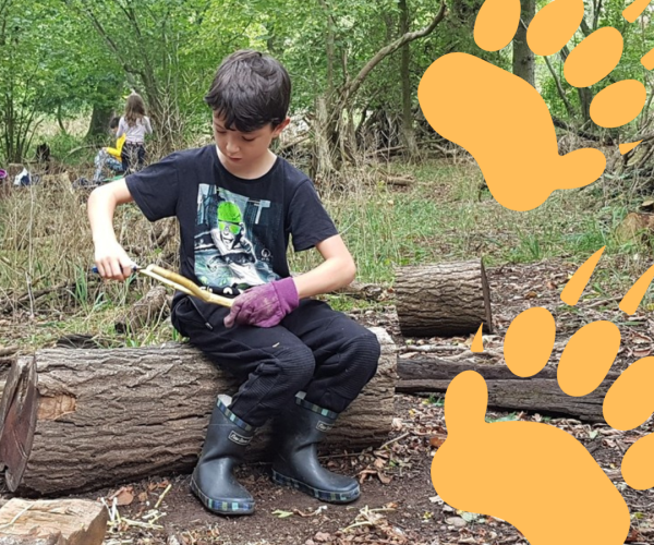 A boy sitting on a log whittling. There are two orange badger tracks in the top right corner
