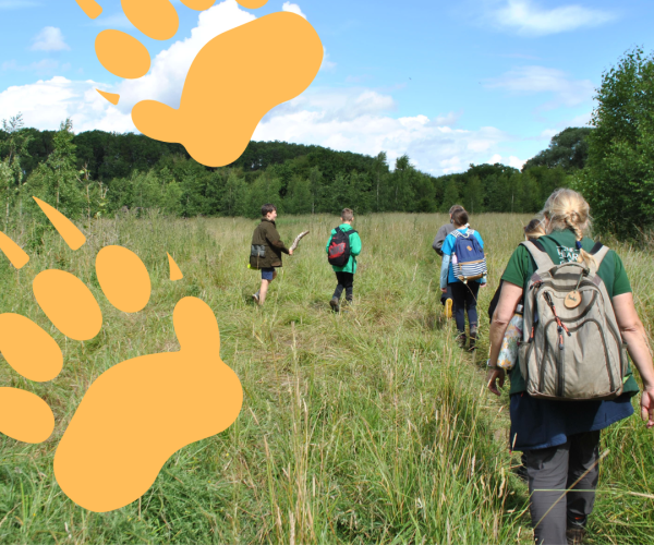 Andrea, walking towards college wood with a group of children. Orange badger tracks on the side of the image.