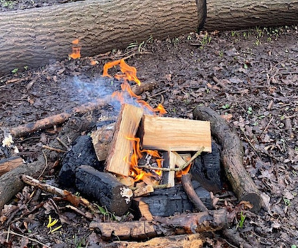 A small campfire with large logs lay around it