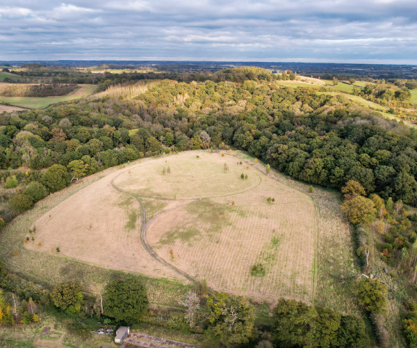An aerial view of Alne Wood