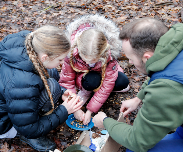 A group of children having fun at Mini Foresters