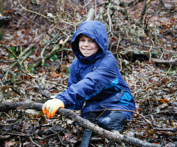 A young forester sawing a branch in the forest