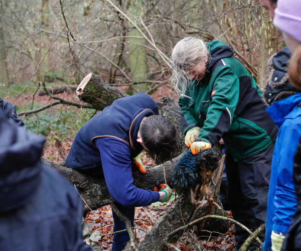 A group of young foresters building a den in the forest