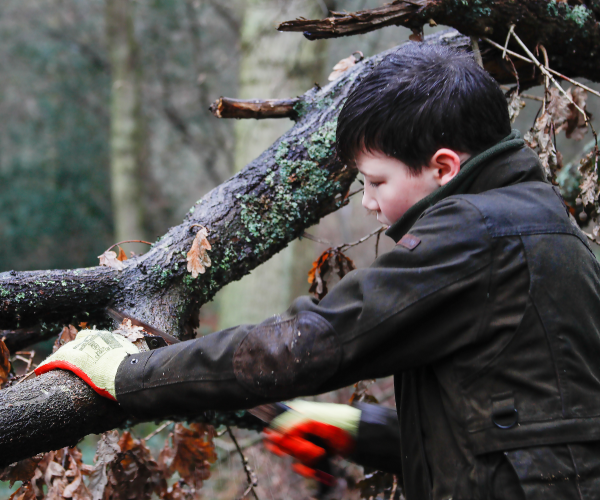 A group of young forester sawing a branch in the forest