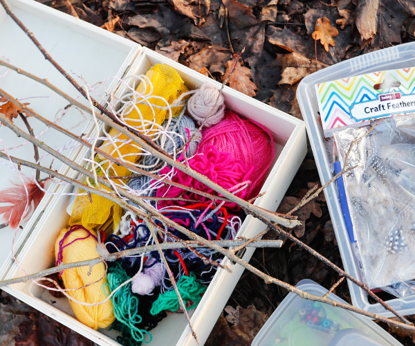 An activity pack ready for a mini foresters group