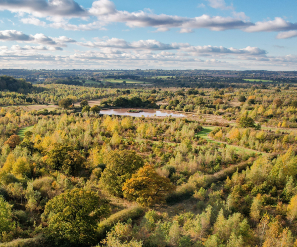 An aerial view of the Forest on an early autumn day as the sun is setting.