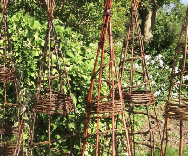 A group of handmade willow wigwams from a previous workshop