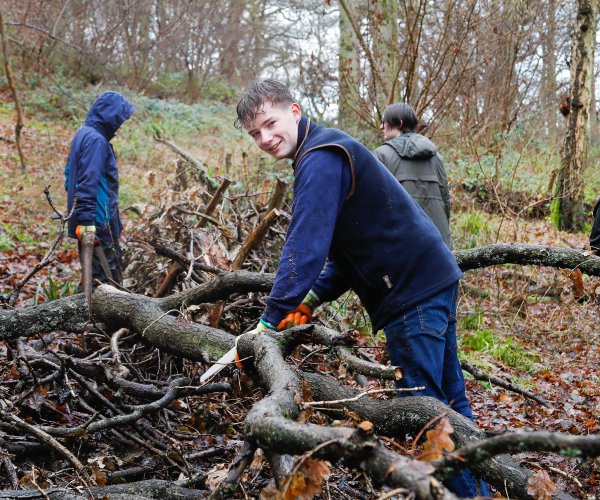  Young foresters using tools in the Forest