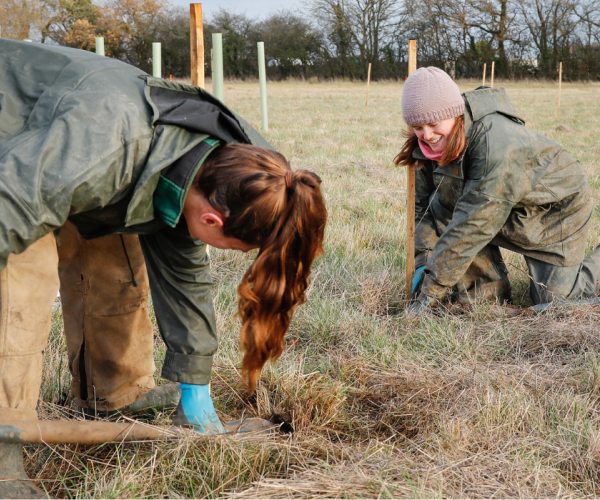 Two female members of the forestry team tree planting in the Forest.