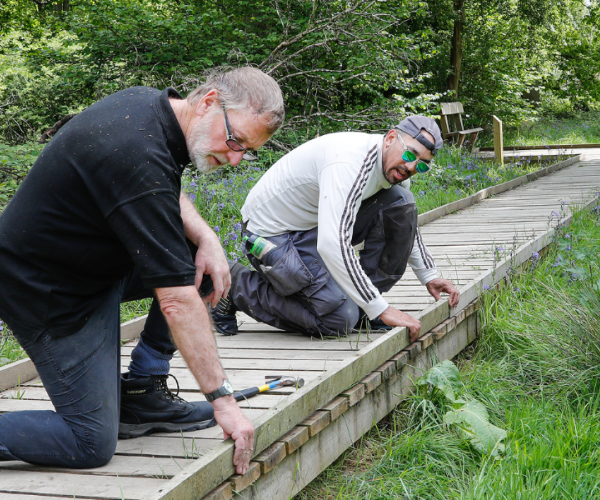 Volunteers doing some maintenance work on the boardwalk at Morgrove Coppice