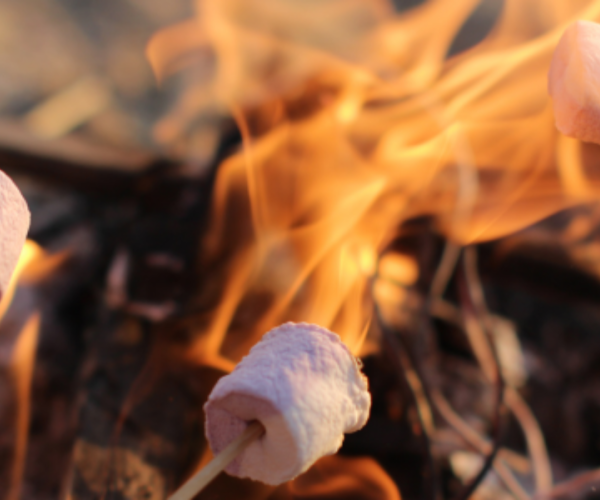 A fire with marshmallows on sticks being toasted over it.