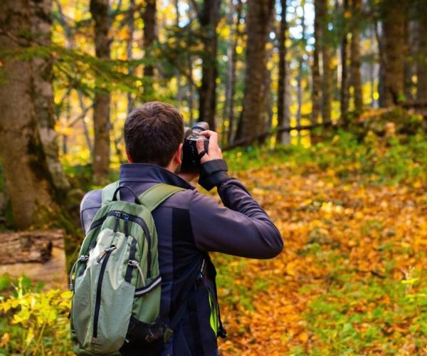 The back view of a young male in the forest taking a photo with a camera while wearing a backpack