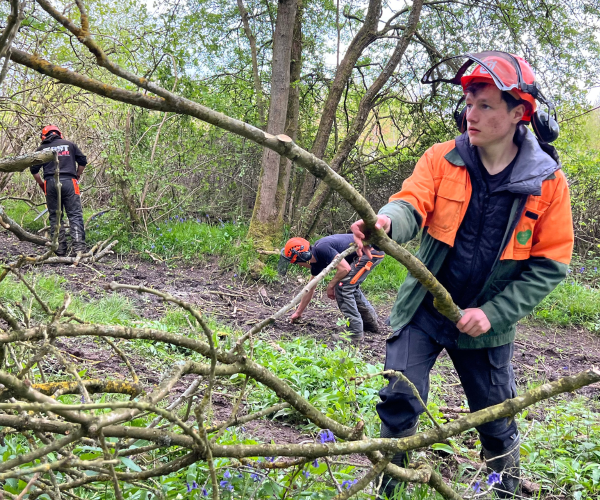 Harrison clearing offcuts of hazel after coppicing in the Forest