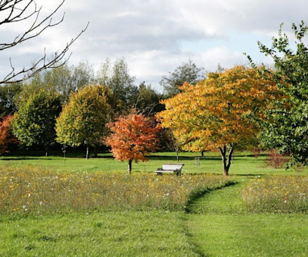 The arboretum in autumn