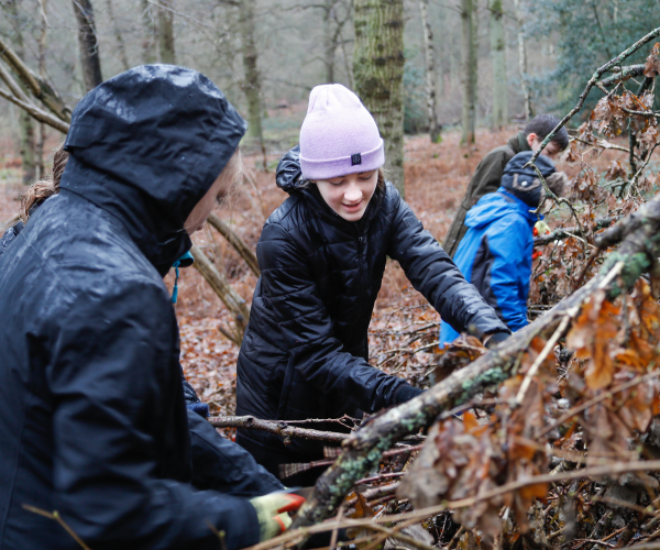 A couple of young foresters using tools in the Forest