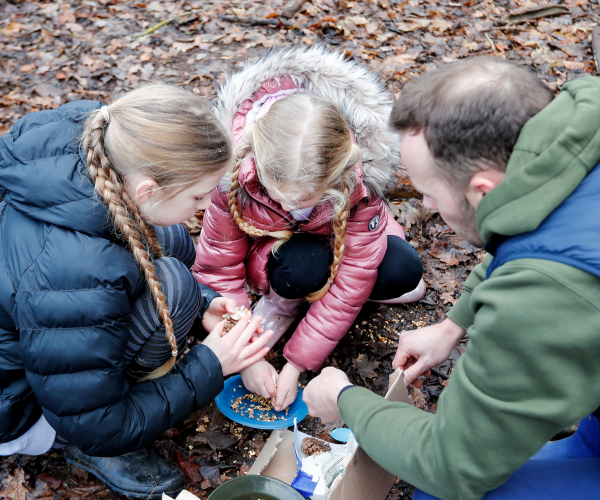 A couple of mini foresters with a parent in the Forest