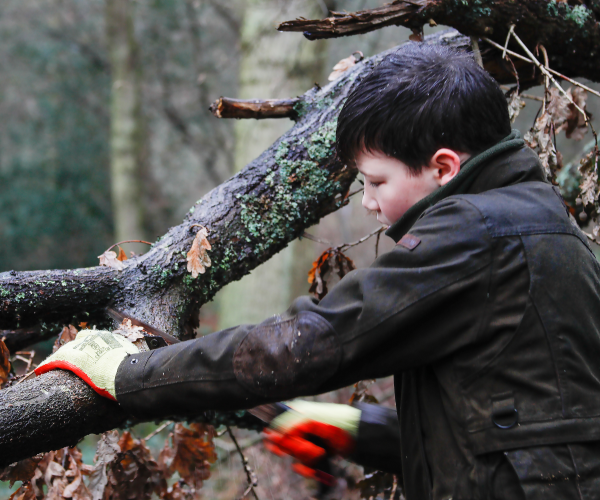 A young foresters sawing a fallen tree branch