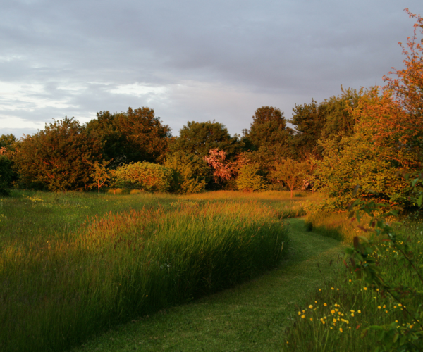 A stunning array of autumnal colour at The Arboretum