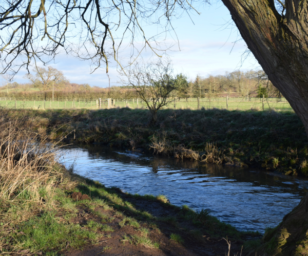 A view of the River Arrow at Haydon Way Wood