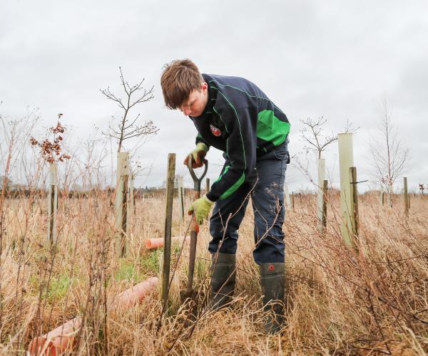 Tobey planting a tree in the beat up process, replacing trees to attain our 60% woodland Coverage