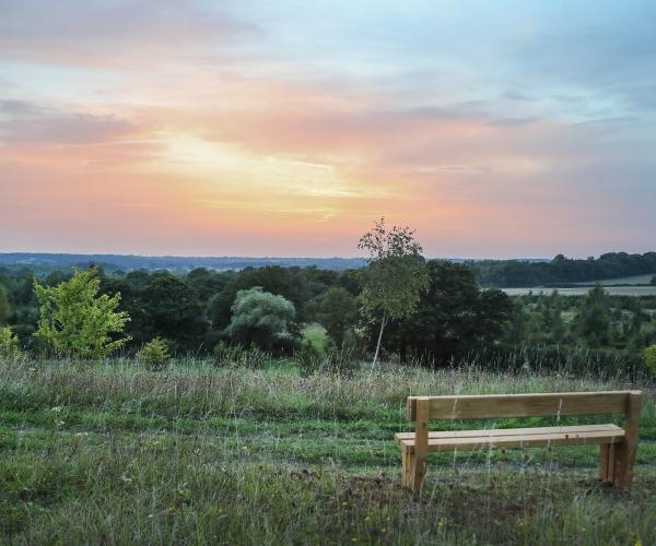 Sunset view with bench at Alne Wood Park Natural Burial Ground