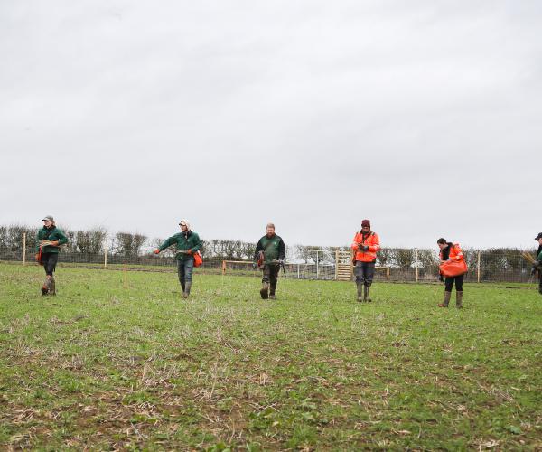 A group of the Forestry team walking on the horizon of newly acquired land