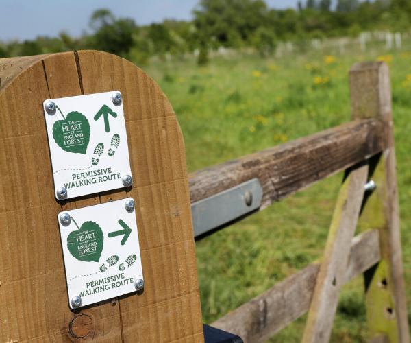 Two permissive signs and a gate leading into an open grassland within the Forest