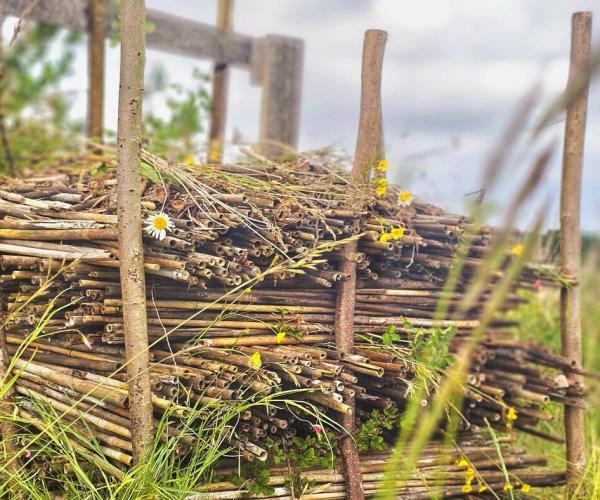 A bug hotel in the forest made of twigs, sticks, canes and grass