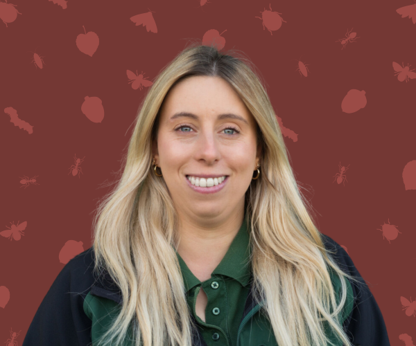 Unearthed: A forest blog with Ellie Jones featured. A background of leaves, seeds and bugs
