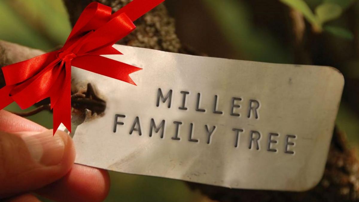 Close up of a tree tag with personalised message