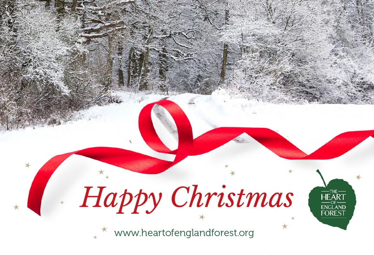 Snowy picture of the Forest with happy Christmas text