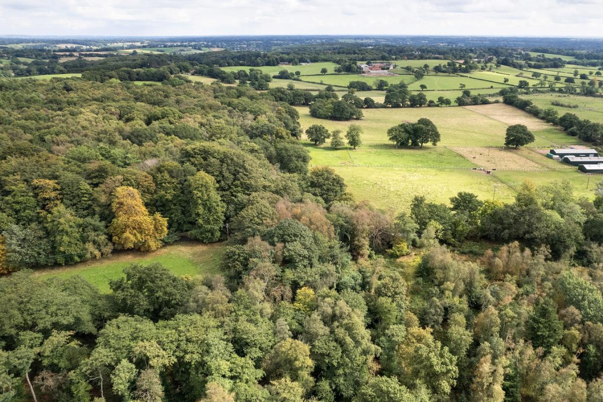 Aerial view of Gorcott hill with dense green tree cover and two open grassy fields