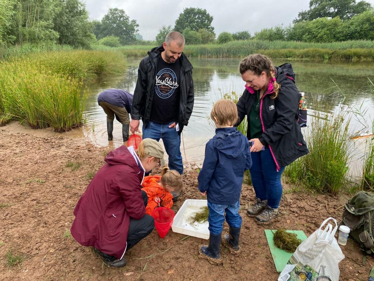 The Mckurk family taking part in the pond survey during BioBlitz 2021