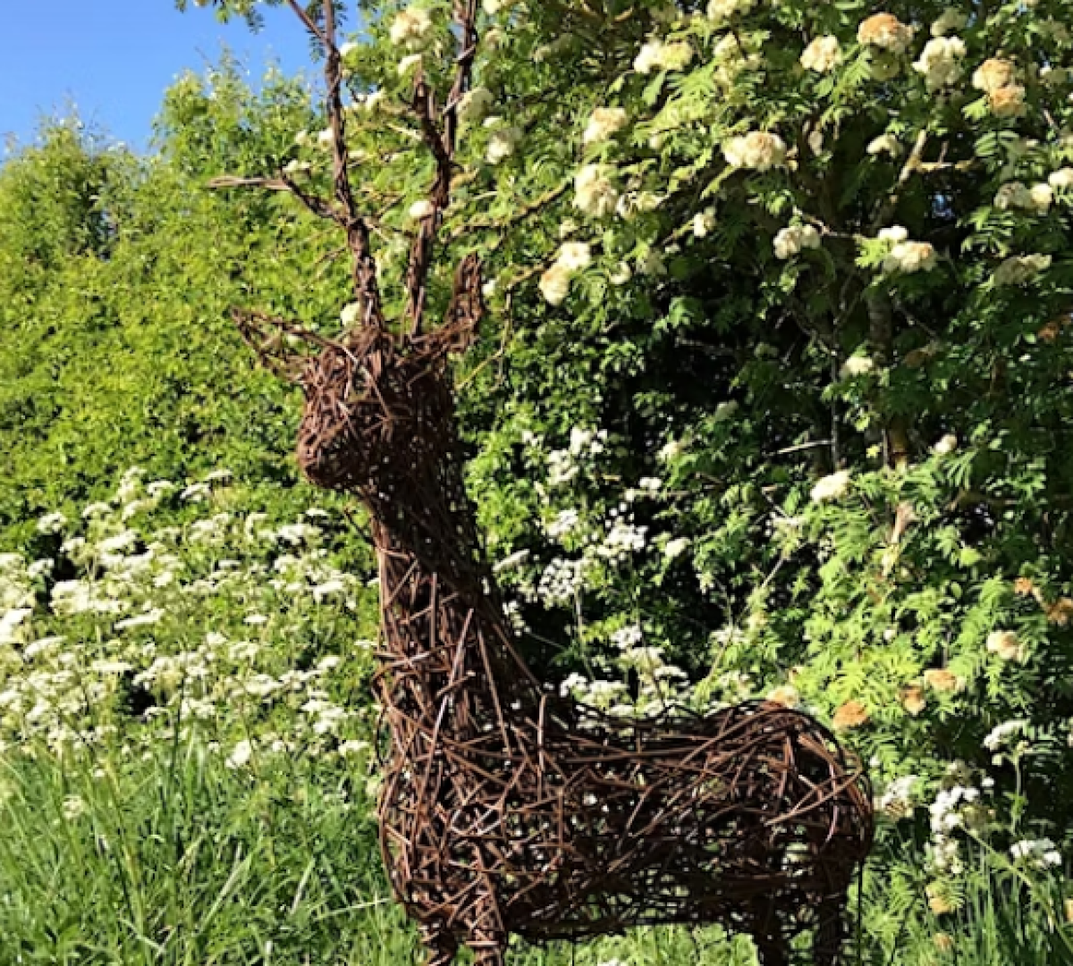 a deer sculpture made from woven willow branches