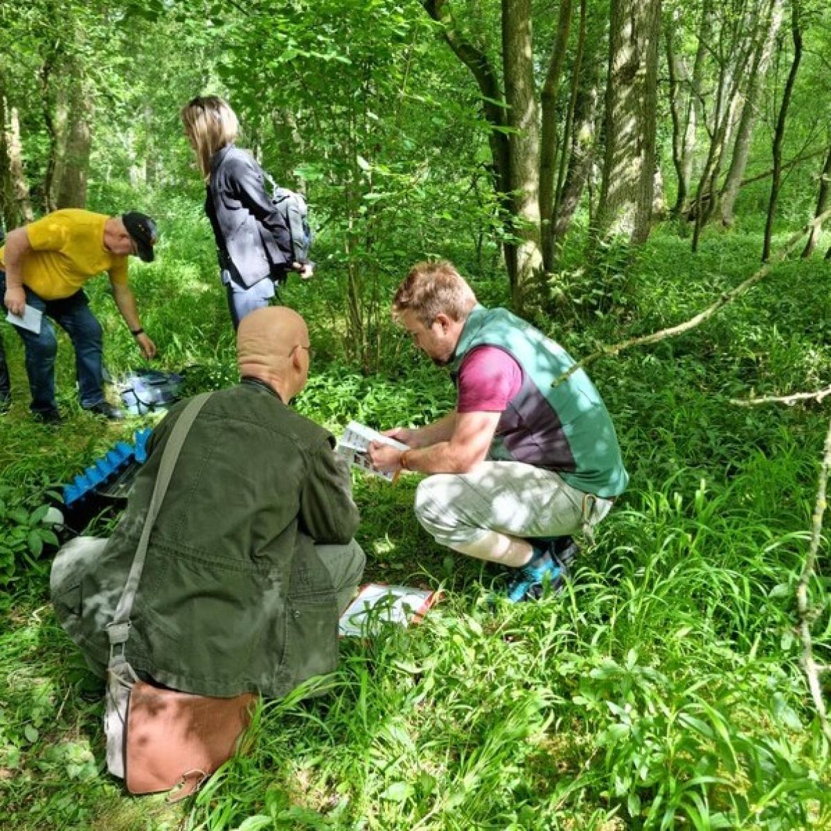 Head of volunteering crouching down on the Forest floor, conducting a moth survey