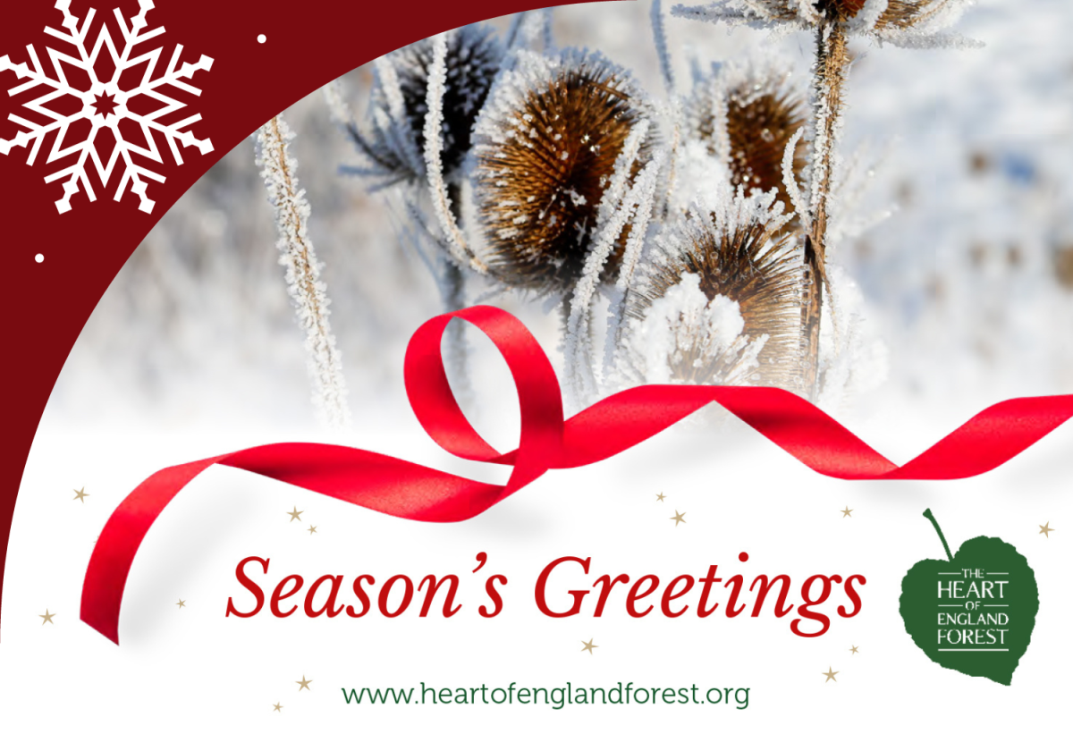 One of our Christmas e-card options