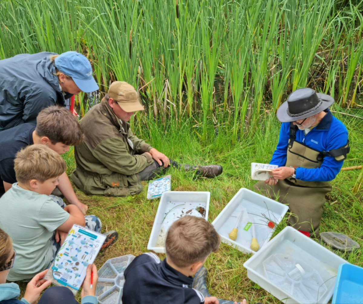 Aquatic invertebrates found and being surveyed by Will Watson with members of the public observing