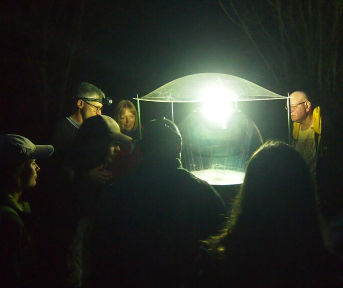 BBC Ndeavour Moth Group with participants standing around a dome light moth trap