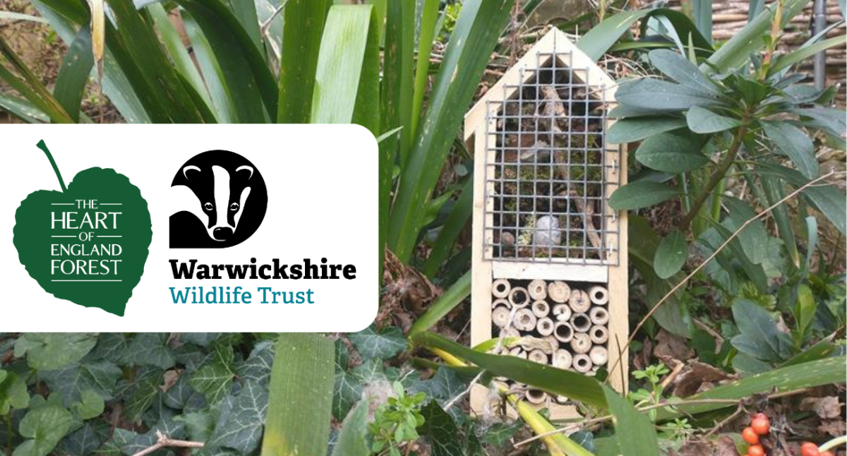 A bug hotel placed upon a mature tree branch for support with the Heart of England Forest and Warwickshire Wildlife Trist logos on the left handside