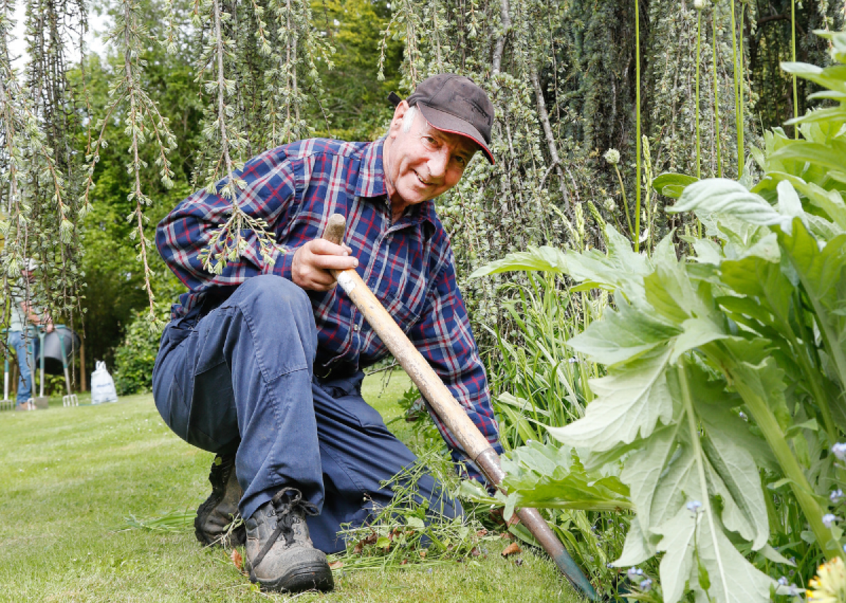 A volunteer gardening at the Garden of Heroes and Villains