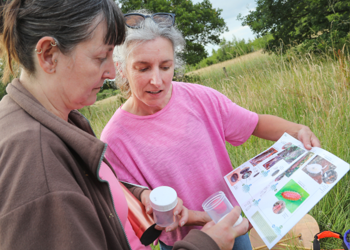 A couple of volunteers surveying at Morgrove Coppice in the summer