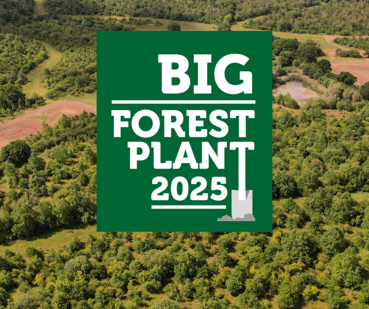 The Big Forest Plant 2025 logo overlaid on a birds eye view of middle spernal