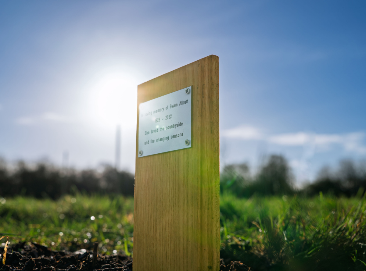 A close-up of a personalised dedication plaque