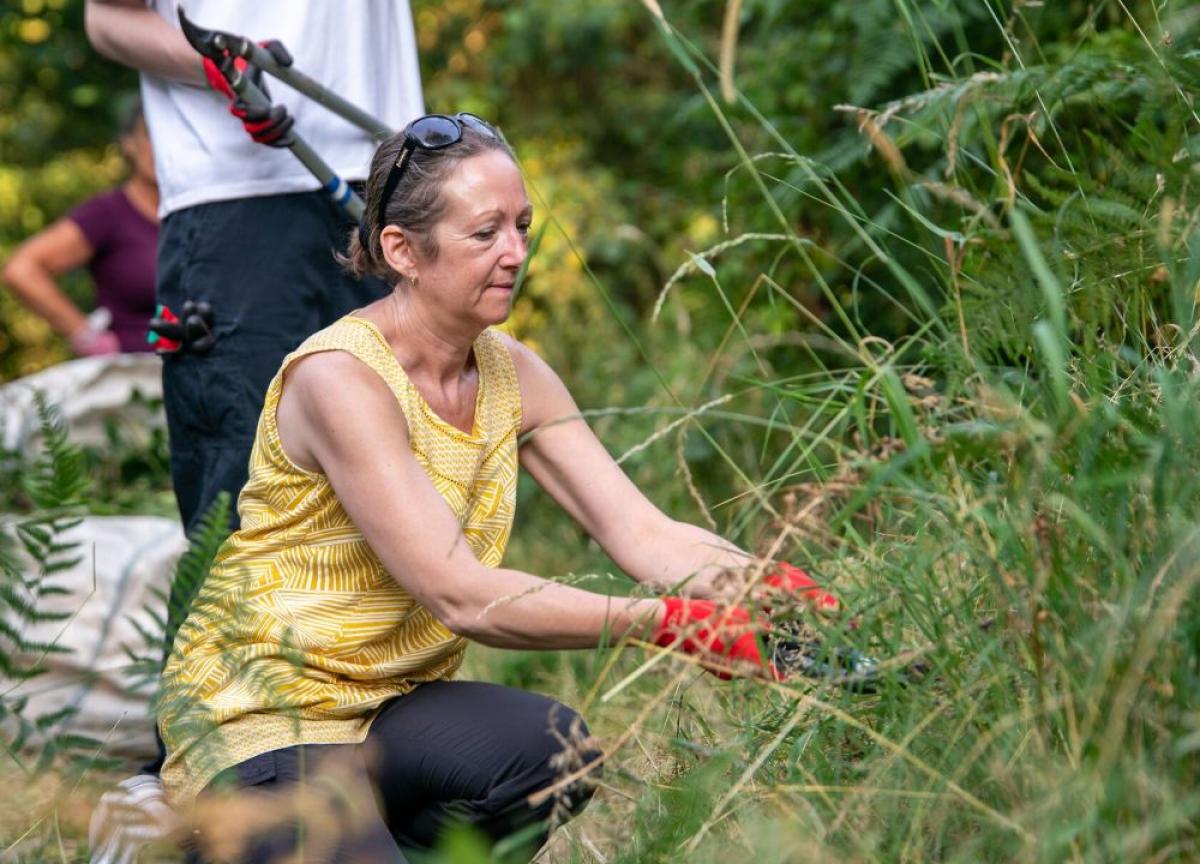 Volunteers clearing foilage along a footpath during an evening volunteering session at Morgrove Coppice
