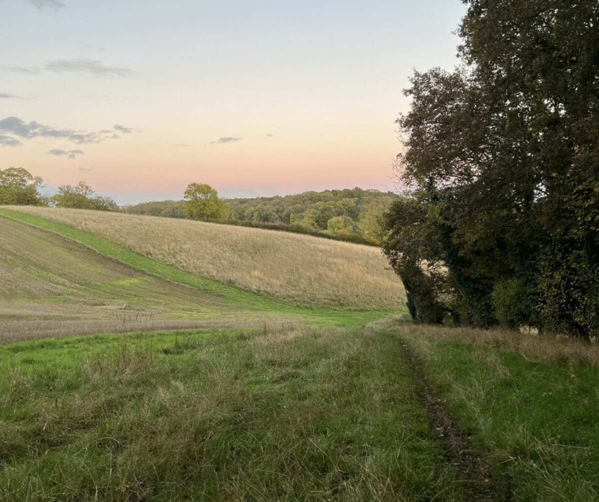 Looking down into the valley from the Monarch's Way bridlepath above Cutler's Farm, on newly-purchased land between Langley and Bearley, with arable land in the foreground and Knowle's Wood - part of the same purchase - on the skyline