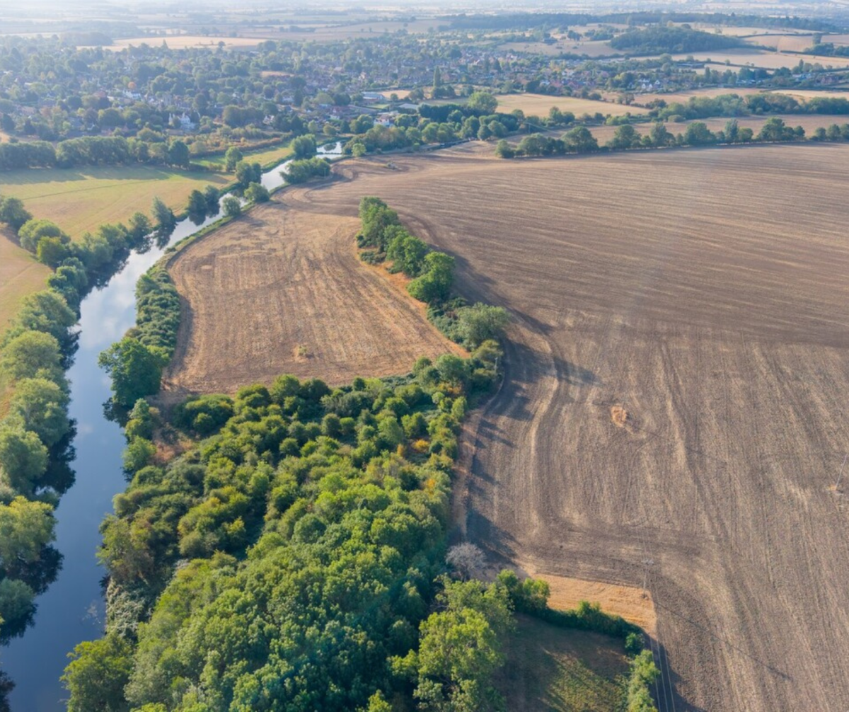 Aerial shot of land acquired at Hillborough, green canopy of trees, fields and a river