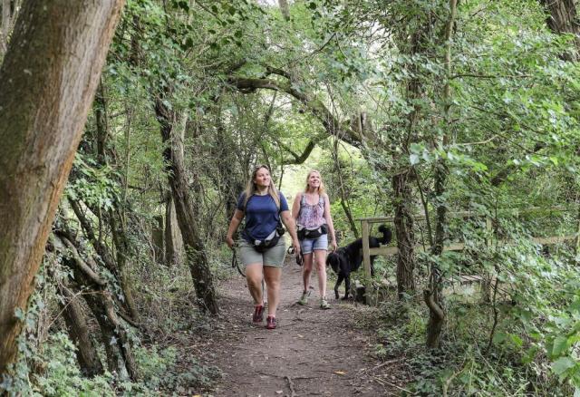 Two women walking in the Forest with dogs