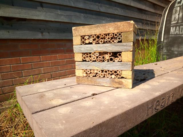 a bug hotel in the Forest built by Geza and Matthew