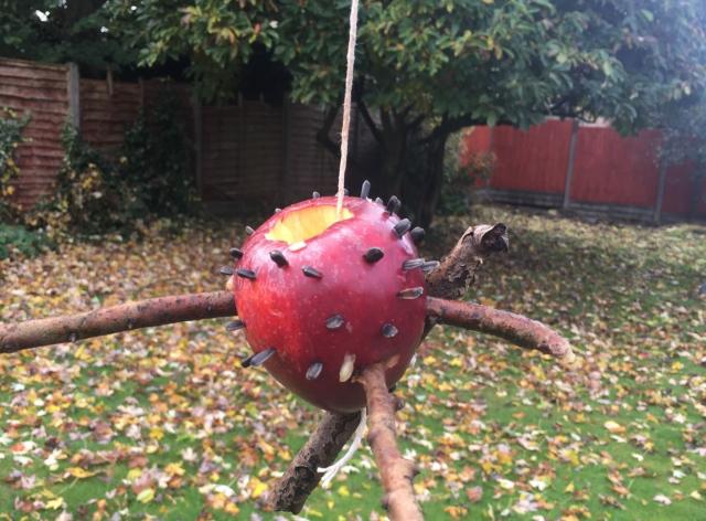 Apple bird feeder in a garden